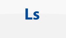 lizings