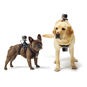 Kameras stiprinājums sunim Dog Harness, GoPro