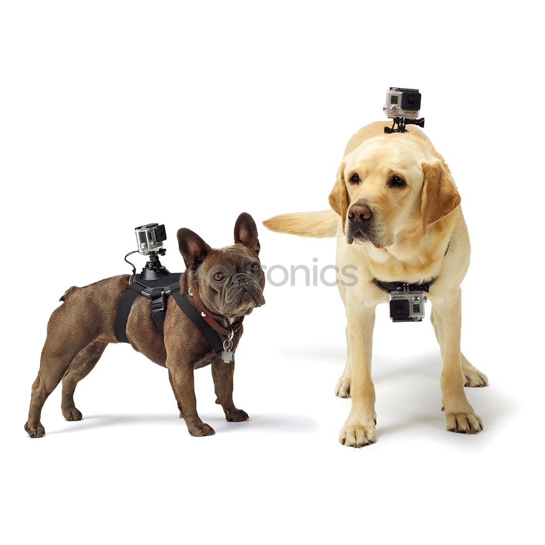 Kameras stiprinājums sunim Dog Harness, GoPro