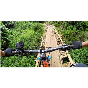 Handlebar/pole mount GoPro