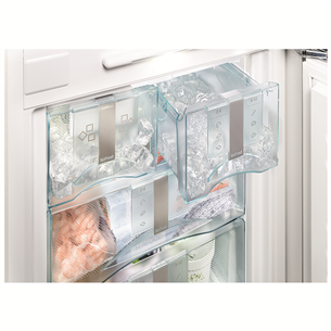 Iebūvējams ledusskapis  Premium BioFresh NoFrost, Liebherr  / augstums: 178 cm