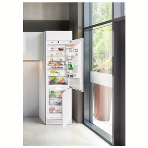 Built-in Refrigerator Liebherr (178 cm)