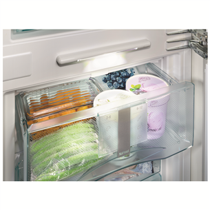 Built-in Refrigerator Liebherr (178 cm)