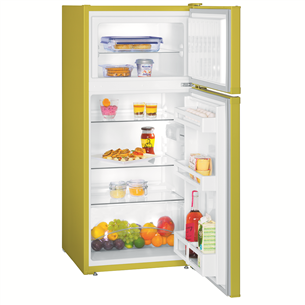 Refrigerator SmartFrost, Liebherr / 124,1 cm
