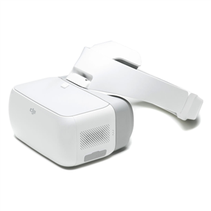 DJI Goggles