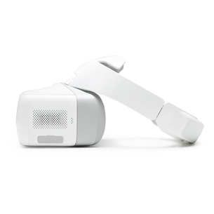 DJI Goggles