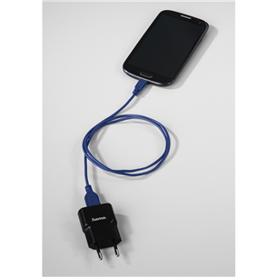 Cable USB-C Hama (0,75 m)