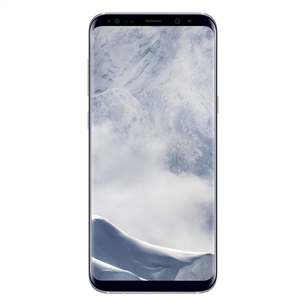 Smartphone Samsung Galaxy S8+ / 64 GB