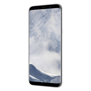 Smartphone Samsung Galaxy S8+ / 64 GB