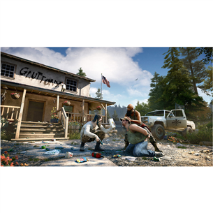 PS4 game Far Cry 5 Deluxe Edition