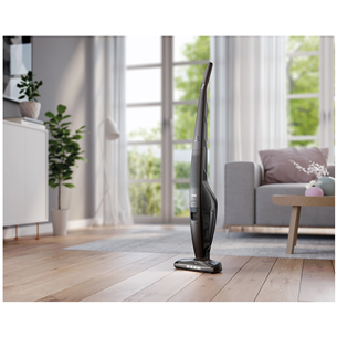 Vacuum cleaner UltraPower, Electrolux