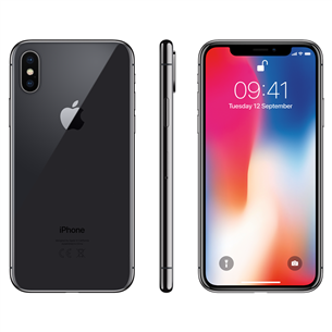 Apple iPhone X (256 ГБ)