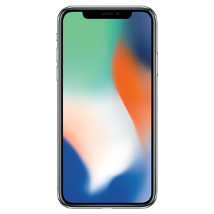 Apple iPhone X (256 GB)