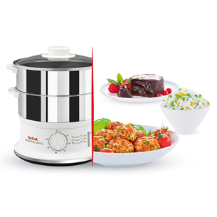 Tefal Сonvenient series, white/silver - Steamer