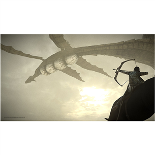 PS4 game Shadow of the Colossus