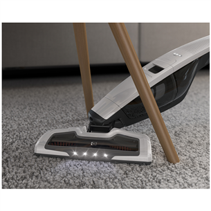 Vacuum cleaner UltraPower, Electrolux