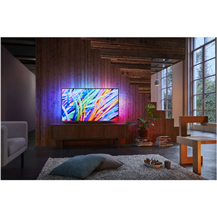 49" Ultra HD 4K LED LCD televizors, Philips