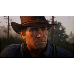 Игра Red Dead Redemption 2 для PlayStation 4