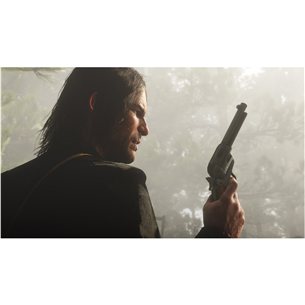 PlayStation 4 spēle, Red Dead Redemption 2