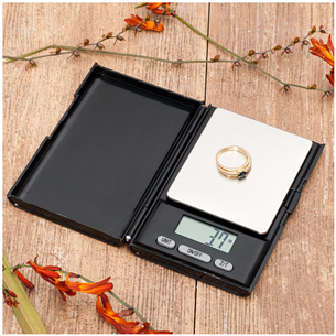 Pocket scale, Tatkraft