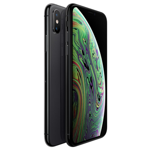 Apple iPhone XS (64 ГБ)