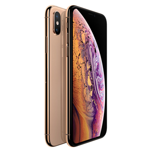 Apple iPhone XS (64 ГБ)