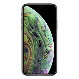 Apple iPhone XS (256 GB)