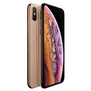 Apple iPhone XS (256 GB)