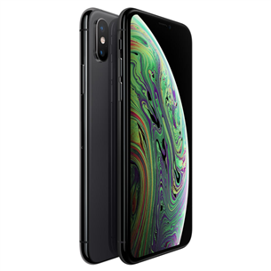 Apple iPhone XS Max (256 ГБ)