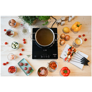 Severin, 2000 W, black - Single Induction Cooking Plate