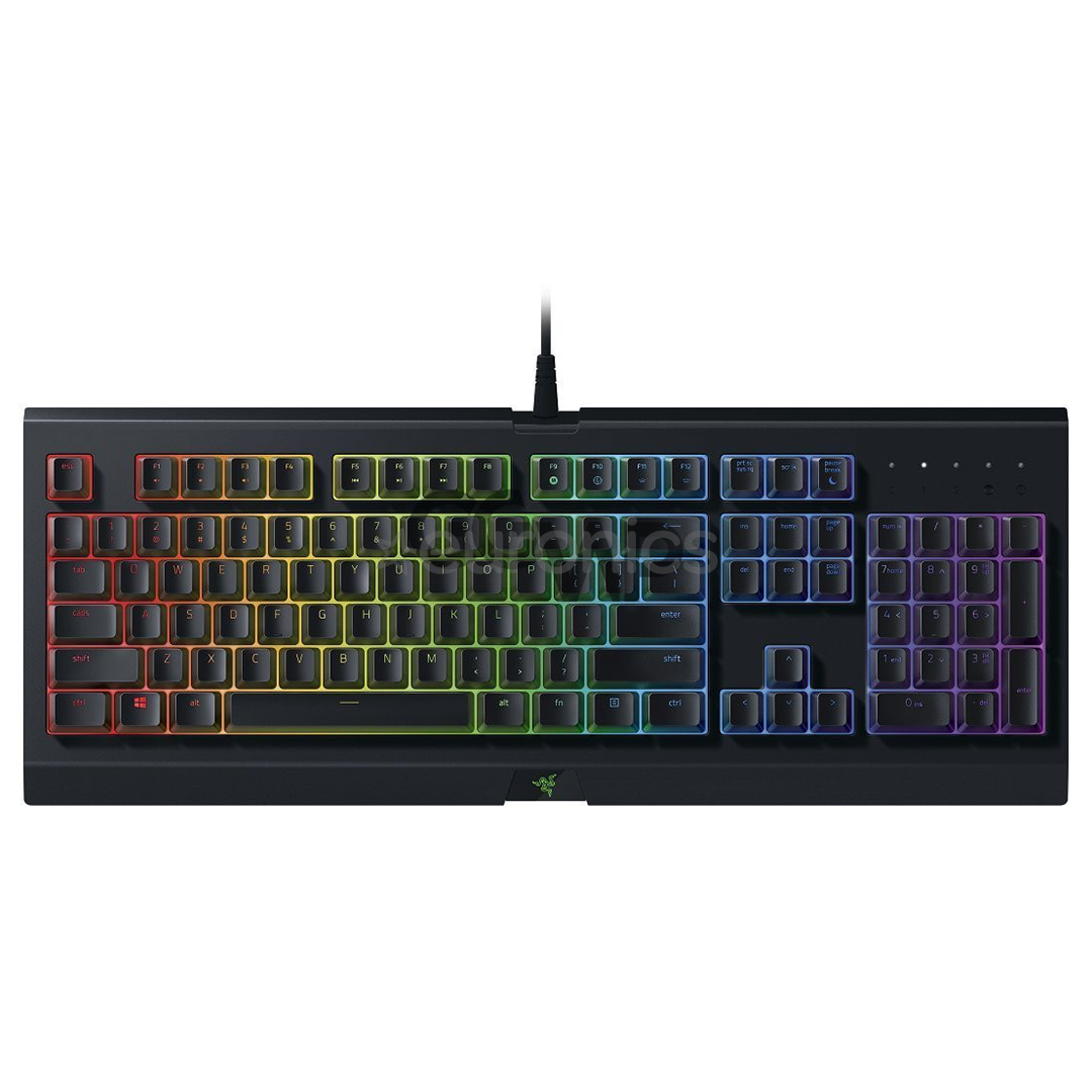 Klaviatūra Cynosa Chroma, Razer / ENG