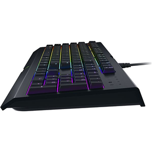 Klaviatūra Cynosa Chroma, Razer / ENG