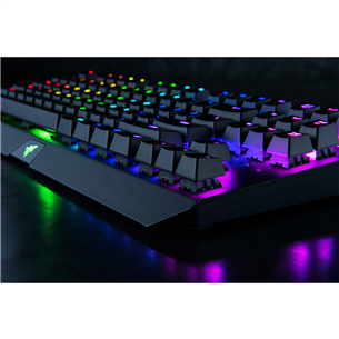 Razer BlackWidow X Tournament Edition Chroma, US, black - Keyboard