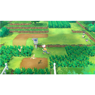 Spēle priekš Nintendo Switch, Pokémon: Let's Go, Pikachu!