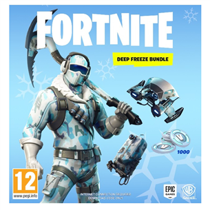 PC game Fortnite Deep Freeze Bundle