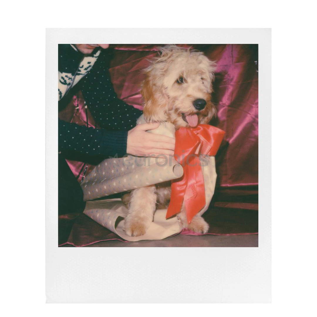 Fotopapīrs Color Film i-Type, Polaroid / 8 gab