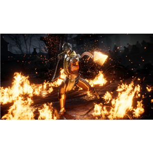 Игра для PlayStation 4 Mortal Kombat 11