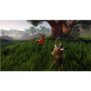 PS4 game Outward