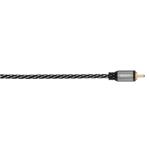 Avinity, RCA, 1,5 m - Vads