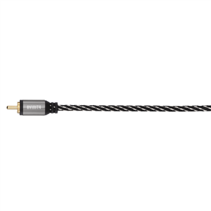 Avinity, RCA, 1,5 m - Vads