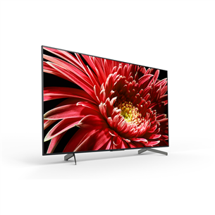 55" Ultra HD 4K LED televizors, Sony