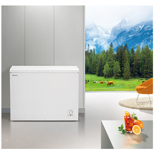 Chest freezer Hisense (302 L)