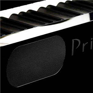 Digitālās klavieres PX-S1000, Casio