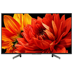 49"  Ultra HD LED LCD-телевизор Sony XG83