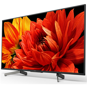 49"  Ultra HD LED LCD-телевизор Sony XG83