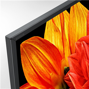 49" Ultra HD 4K LED LCD televizors, Sony