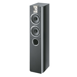 Skaļrunis Chorus 615, Focal