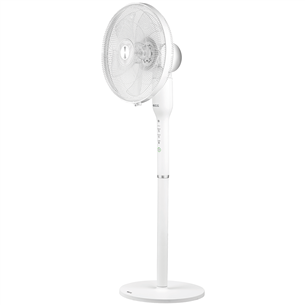 Fan 2in1 ECG