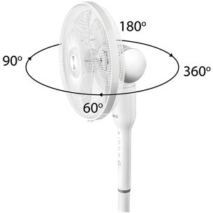 Ventilators FS41, ECG