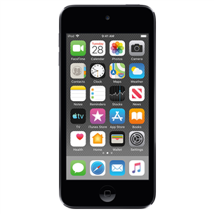 Apple iPod Touch 2019 (32 ГБ)